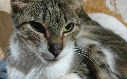 Clara