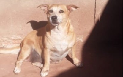 Fatinha