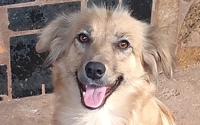 Peludinha
