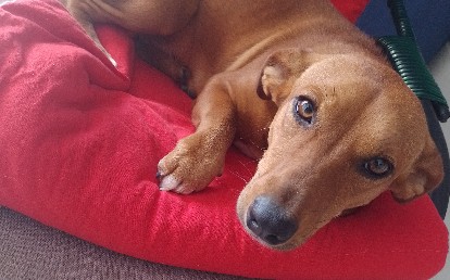 Juanita