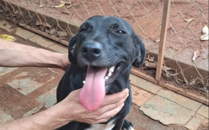 DEBINHA