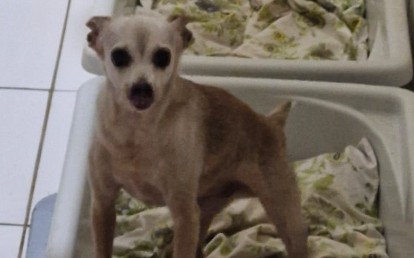 Billy