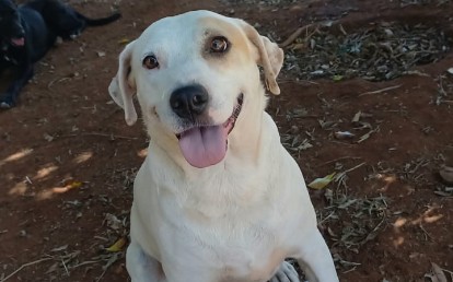 CHICO