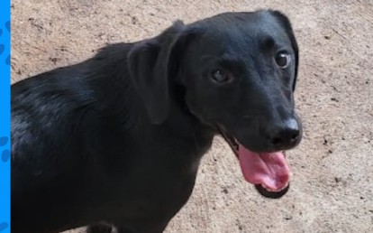 Caco