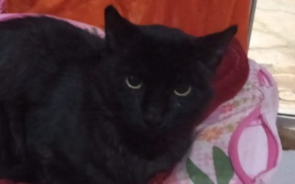 Neguinho 