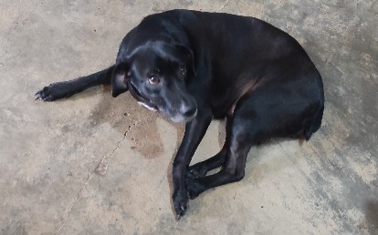Pequena