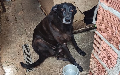 Lupita