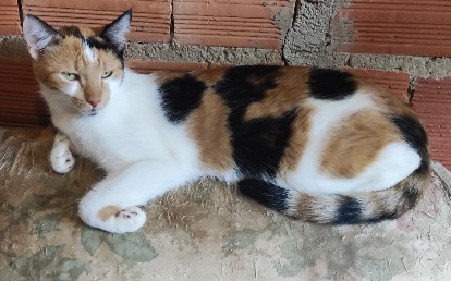 Lucy