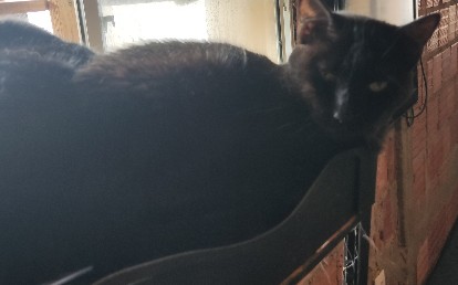 Luna