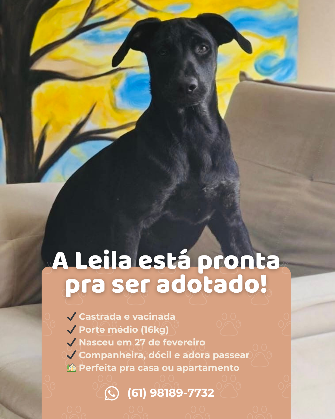 Leila