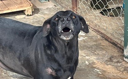 ZULUZÃO
