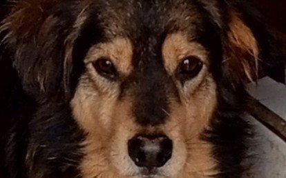 wendel
