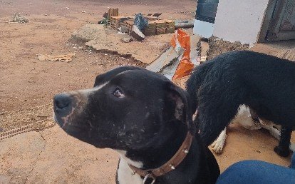 Zeus