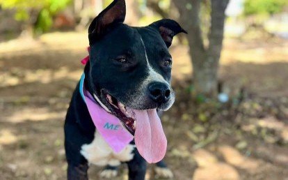 Kali