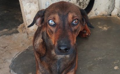 Luís