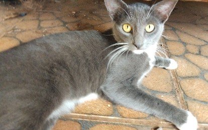 Max