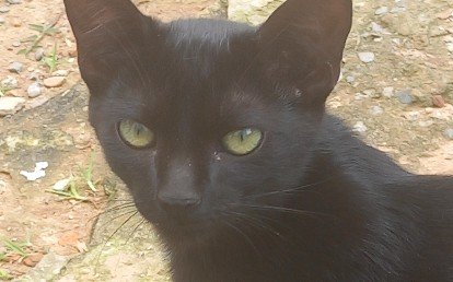 Tina
