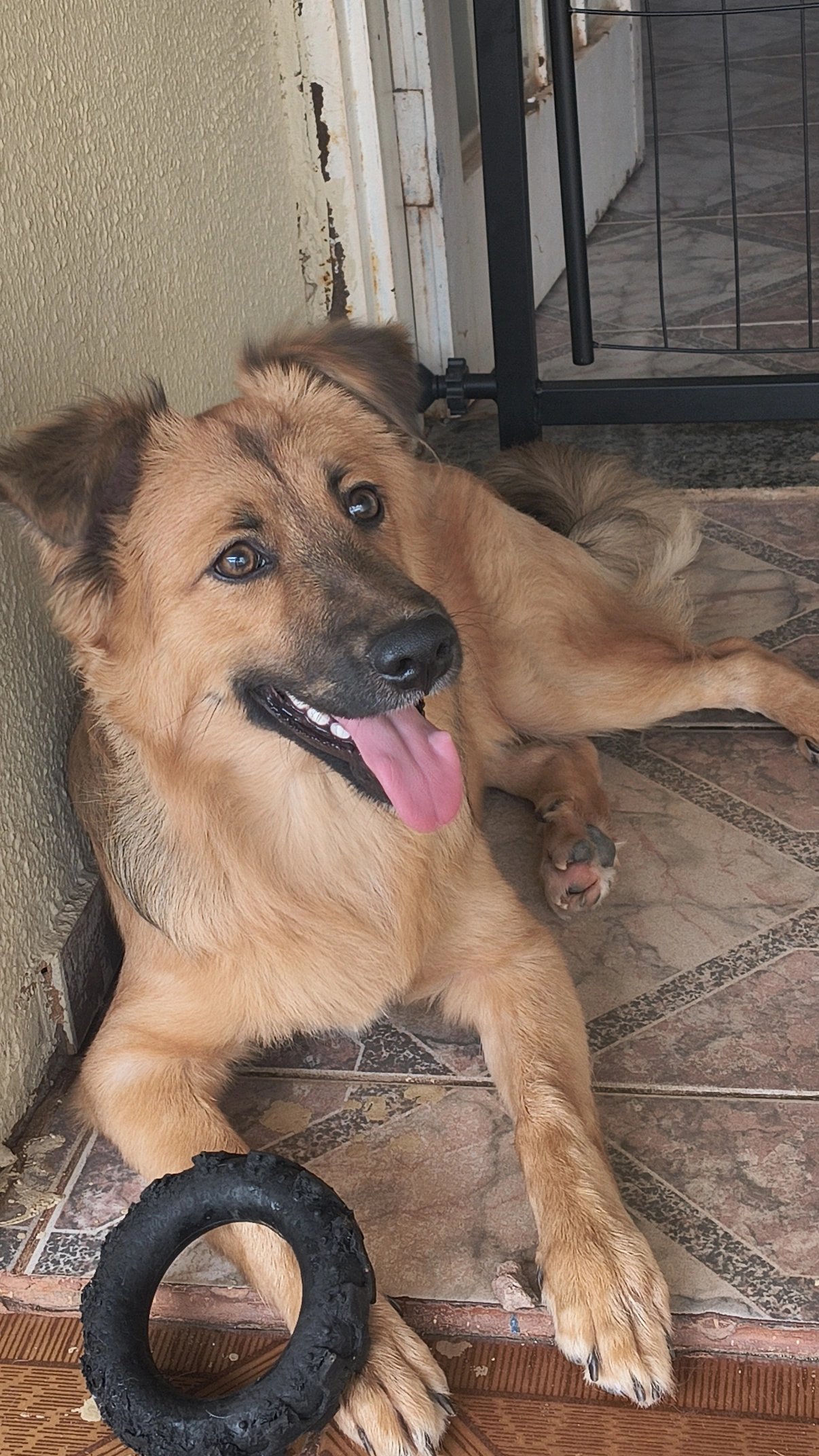 Zeca