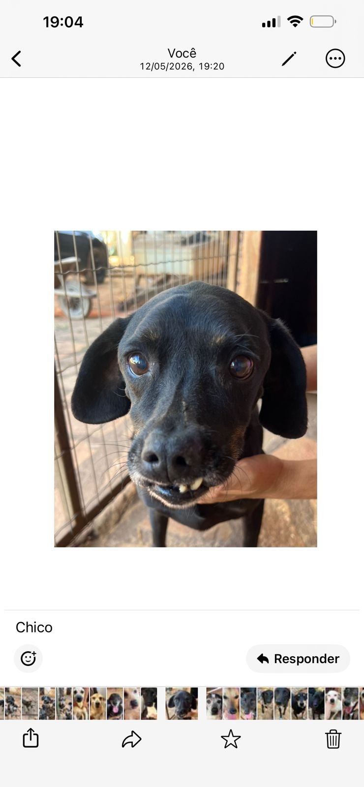 Chico