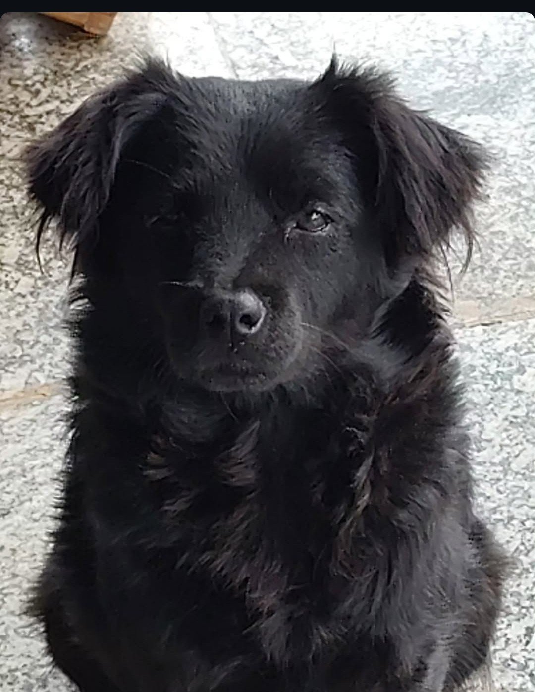 Mia
