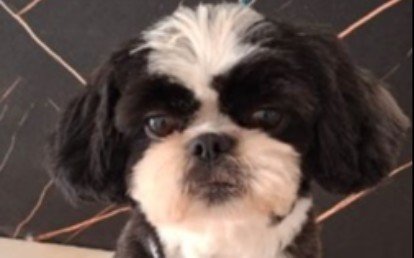 Kiko