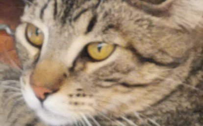 Tom