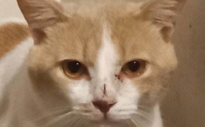 Caetano