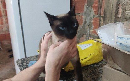 Zora